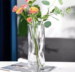 Стеклянная ваза, 25x10 см цена и информация | Вазы | 220.lv