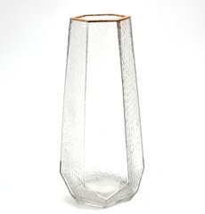 Stikla vāze, 25 x 11 cm cena un informācija | Vāzes | 220.lv