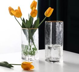 Стеклянная ваза, 24,5 x 8 x 8 см цена и информация | Вазы | 220.lv