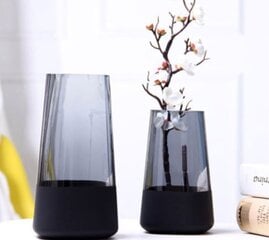 Стеклянная ваза, 29 x 13 x 13 см цена и информация | Вазы | 220.lv