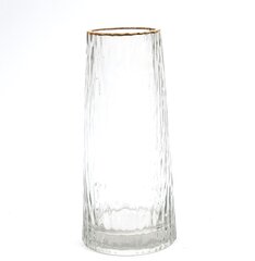 Стеклянная ваза, 24 х 10,5 см цена и информация | Вазы | 220.lv