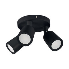 Черный настенно-потолочный светильник STRÜHM 147x150x150 мм цена и информация | Потолочные светильники | 220.lv