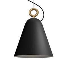 Piekaramā lampa Herstal Metāla plakana melna HV1650232 cena un informācija | Lustras | 220.lv