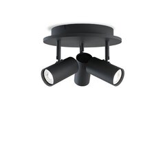 Griestu lampa Belid Metal Black tekstūra 6832086 cena un informācija | Griestu lampas | 220.lv