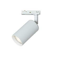 Griestu lampa Belid metāla plakanais baltais 632936 cena un informācija | Iebūvējamās lampas, LED paneļi | 220.lv