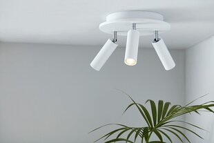 Griestu lampa Belid metāla plakanais baltais 6902036 цена и информация | Потолочные светильники | 220.lv