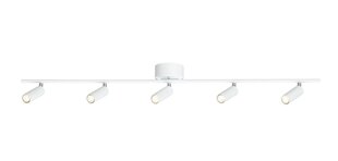Griestu lampa Belid Metāla plakana balta 6899036 cena un informācija | Iebūvējamās lampas, LED paneļi | 220.lv