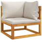 vidaXL 2-daļīgs dārza dīvāna komplekts ar spilveniem, akācijas koks cena un informācija | Dārza krēsli | 220.lv