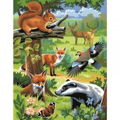 Живопись по номерам KSG Woodland Animals, 30 x 23 см, 2 шт. цена и информация | Живопись по номерам | 220.lv