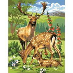 Живопись по номерам KSG Woodland Animals, 30 x 23 см, 2 шт. цена и информация | Живопись по номерам | 220.lv