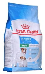 Royal Canin grūsnām un laktējošām kucītēm Mini Starter Mother&Babydog, 4 kg цена и информация | Сухой корм для собак | 220.lv