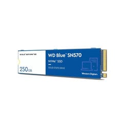 Жесткий диск Western Digital WD Blue SN570 250 GB M.2 цена и информация | Жёсткие диски | 220.lv