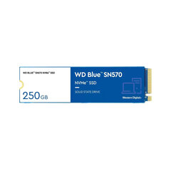 Жесткий диск Western Digital WD Blue SN570 250 GB M.2 цена и информация | Жёсткие диски | 220.lv