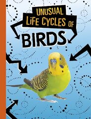 Unusual Life Cycles of Birds cena un informācija | Grāmatas pusaudžiem un jauniešiem | 220.lv