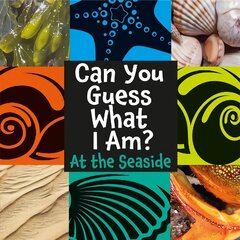 Can You Guess What I Am?: At the Seaside Illustrated edition cena un informācija | Grāmatas pusaudžiem un jauniešiem | 220.lv
