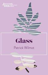 Glass 10th Anniversary ed. cena un informācija | Fantāzija, fantastikas grāmatas | 220.lv