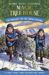 Sunlight on the Snow Leopard cena un informācija | Grāmatas pusaudžiem un jauniešiem | 220.lv