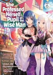 She Professed Herself Pupil of the Wise Man (Light Novel) Vol. 6 cena un informācija | Fantāzija, fantastikas grāmatas | 220.lv