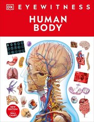 Human Body цена и информация | Книги для подростков  | 220.lv