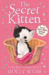 Secret Kitten цена и информация | Книги для подростков и молодежи | 220.lv