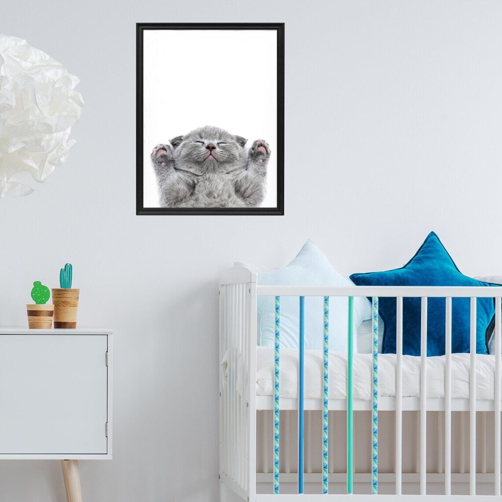 Sienas plakāts guļošs kaķēns jauks plakāts interjera dekors bērnu istabai - 45 x 32 cm cena un informācija | Gleznas | 220.lv