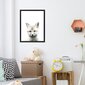Sienas plakāts Little Fox Cub jauks plakāts interjera dekors bērnu istabai - 45 x 32 cm цена и информация | Gleznas | 220.lv