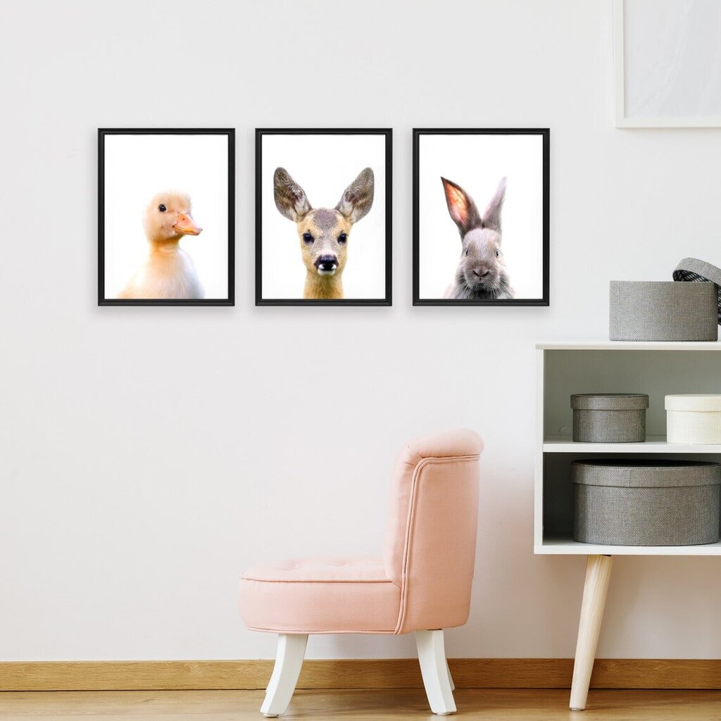 Sieniniai plakatai Maži gyvūnai Mieli plakatai Vaikų kambario interjero dekoras – 3 vnt (45 x 32 cm) cena un informācija | Gleznas | 220.lv