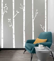 Vinila sienas uzlīme balti bērzi botāniskais interjera dekors - 5gab, 244 cm cena un informācija | Dekoratīvās uzlīmes | 220.lv