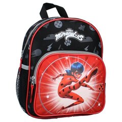 Рюкзак Ladybug Love and Courage цена и информация | Рюкзаки и сумки | 220.lv