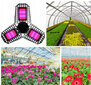 LED spuldze priekš augiem / Fito spuldze / E27 / 40W E18633471 cena un informācija | Diedzēšanas trauki, augu lampas | 220.lv