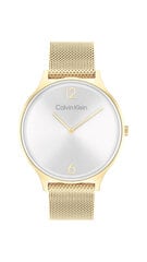 Sieviešu pulkstenis Calvin Klein 25200003 cena un informācija | Sieviešu pulksteņi | 220.lv