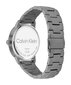 Sieviešu pulkstenis Calvin Klein 25200054 цена и информация | Vīriešu pulksteņi | 220.lv