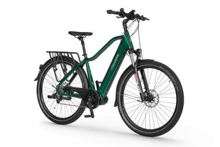 Elektriskais velosipēds Ecobike MX 300 11,6 Ah Greenway, zaļš cena un informācija | Elektrovelosipēdi | 220.lv