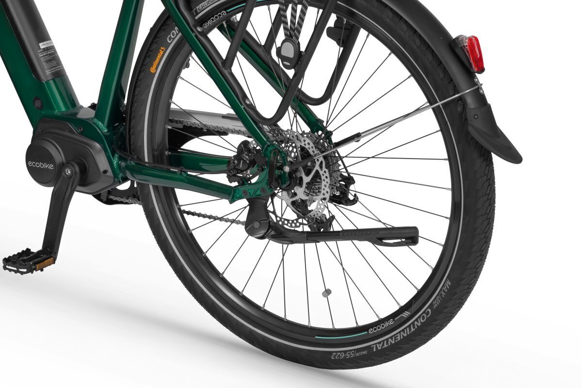 Elektriskais velosipēds Ecobike MX 300 11,6 Ah Greenway, zaļš cena un informācija | Elektrovelosipēdi | 220.lv