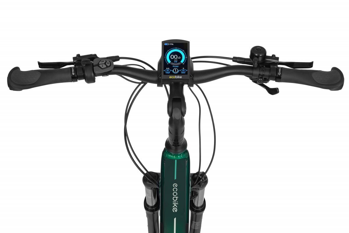 Elektriskais velosipēds Ecobike MX 300 11,6 Ah Greenway, zaļš cena un informācija | Elektrovelosipēdi | 220.lv