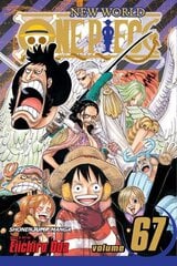 One Piece, Vol. 67: Cool Fight, 67 cena un informācija | Fantāzija, fantastikas grāmatas | 220.lv