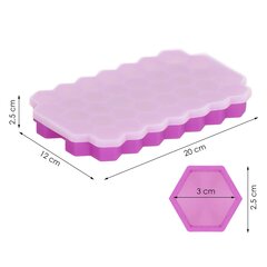Форма для ледиков, 20х12х2,5 см цена и информация | Кухонные принадлежности | 220.lv