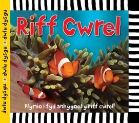 Cyfres Dwlu Dysgu: Riff Cwrel цена и информация | Книги для подростков  | 220.lv