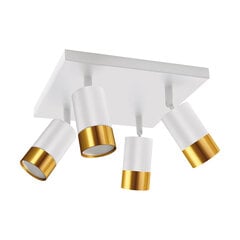 Белый/золотой настенно-потолочный светильник STRÜHM, 160x250x250 мм цена и информация | Потолочные светильники | 220.lv