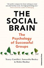 Social Brain: The Psychology of Successful Groups цена и информация | Книги по экономике | 220.lv