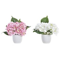 Dekoratīvie ziedi DKD Home Decor, 2 gab. cena un informācija | Mākslīgie ziedi | 220.lv