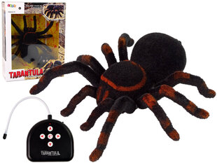 Tālvadības zirneklis, melns cena un informācija | Rotaļlietas zēniem | 220.lv