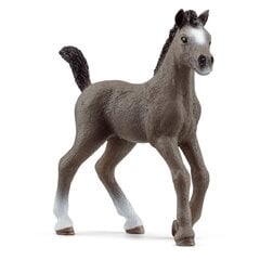 SCHLEICH HORSE CLUB Cheval de Selle Francais šķirnes kumeliņš cena un informācija | Rotaļlietas zēniem | 220.lv