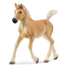 Фигурка жеребенка Хафлингера Schleich Horse Club цена и информация | Конструктор автомобилей игрушки для мальчиков | 220.lv