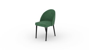 Стул ADRK Furniture 84 Rodos, зеленый цена и информация | Стулья для кухни и столовой | 220.lv