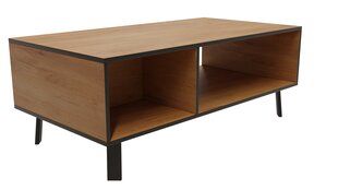 Кофейный столик ADRK Furniture Lofton Craft, коричневый цена и информация | Журнальные столики | 220.lv