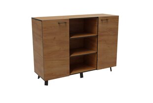 Комод ADRK Furniture Lofton Craft, коричневый цена и информация | Комоды | 220.lv