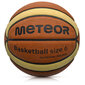 Basketbola bumba Cellular METEOR #6 цена и информация | Basketbola bumbas | 220.lv