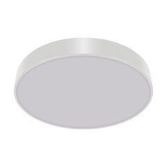 TOTEM led c 48w nw белый 2750 лм потолочный smd светодиодный светильник STRÜHM 55x500x500 мм цена и информация | Монтируемые светильники, светодиодные панели | 220.lv