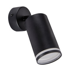 Черный настенно-потолочный светильник STRÜHM, 165x60x60 мм цена и информация | Потолочные светильники | 220.lv